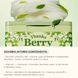 Набір тканинних масок із зеленим чаєм та центеллою Manyo Thanks Berry Green Tea Mask | 30 шт cos723 фото 3