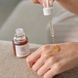 Відновлювальна сироватка з женьшенем та муцином равлика Beauty of Joseon Ginseng Revive Serum 30 мл cos920 фото 5