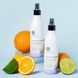 Мультифункціональний спрей для волосся 10 в 1 Luseta Beauty Multipurpose Leave-In Conditioner 250 мл cos395 фото 2